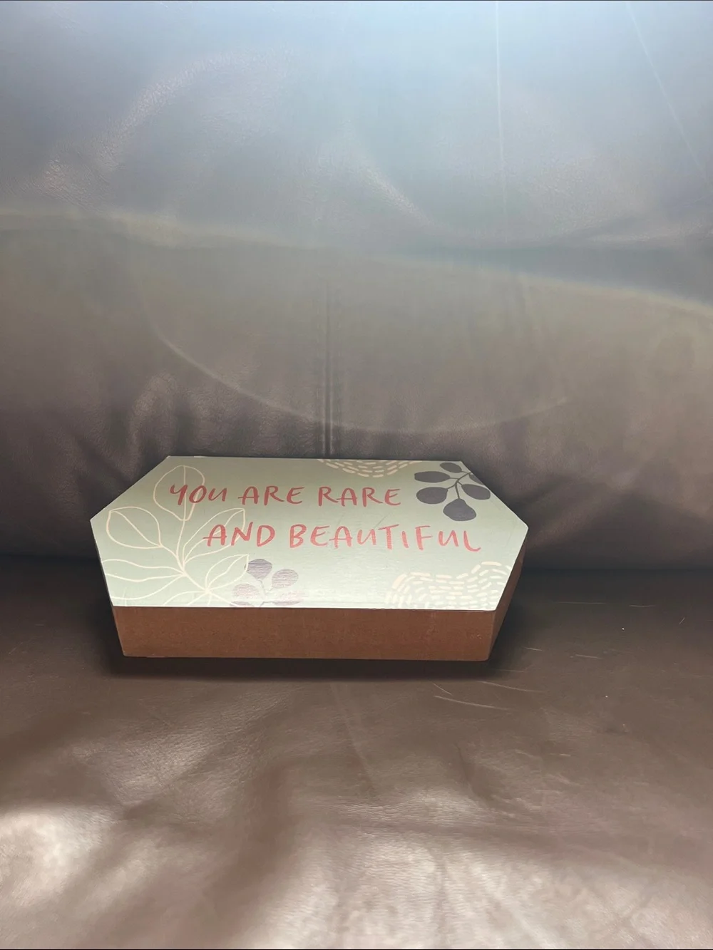 You Are Rare And Beautiful Wall Plaque - Sage Green & Coral
